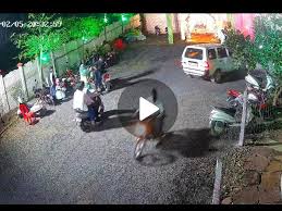 बुधनी टाइम्स